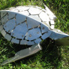 Stainless Sea Turtle